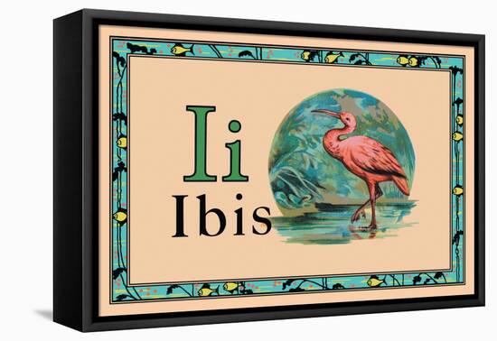 Ibis-null-Framed Stretched Canvas