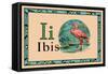 Ibis-null-Framed Stretched Canvas