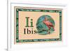 Ibis-null-Framed Art Print