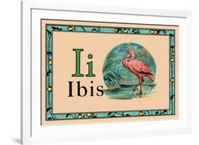 Ibis-null-Framed Art Print