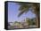 Ibiza Town, Ibiza, Balearic Islands, Spain, Europe-John Miller-Framed Stretched Canvas