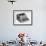 Ibm Electric Typewriter-null-Framed Photographic Print displayed on a wall