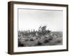 Ibn Saud's (Abd Al-Aziz Ibn Saud'S) Army on the March- Near Habl, 8th January 1911-William Henry Irvine Shakespear-Framed Photographic Print