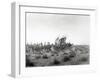 Ibn Saud's (Abd Al-Aziz Ibn Saud'S) Army on the March- Near Habl, 8th January 1911-William Henry Irvine Shakespear-Framed Photographic Print