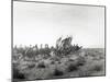 Ibn Saud's (Abd Al-Aziz Ibn Saud'S) Army on the March- Near Habl, 8th January 1911-William Henry Irvine Shakespear-Mounted Photographic Print