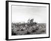 Ibn Saud's (Abd Al-Aziz Ibn Saud'S) Army on the March- Near Habl, 8th January 1911-William Henry Irvine Shakespear-Framed Photographic Print