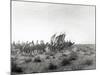 Ibn Saud's (Abd Al-Aziz Ibn Saud'S) Army on the March- Near Habl, 8th January 1911-William Henry Irvine Shakespear-Mounted Photographic Print