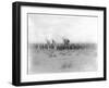 Ibn Saud's (Abd Al-Aziz Ibn Saud'S) Army on the March- Near Habl, 8th January 1911-William Henry Irvine Shakespear-Framed Photographic Print