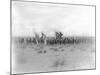 Ibn Saud's (Abd Al-Aziz Ibn Saud'S) Army on the March- Near Habl, 8th January 1911-William Henry Irvine Shakespear-Mounted Photographic Print