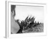 Ibn Saud's (Abd Al-Aziz Ibn Saud'S) Army on the March- Near Habl, 9th January 1911-William Henry Irvine Shakespear-Framed Photographic Print