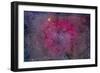 Ic 1396 and Garnet Star in Cepheus-Stocktrek Images-Framed Photographic Print