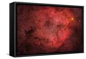 Ic 1396, the Elephant Trunk Nebula-null-Framed Stretched Canvas