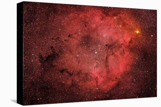 Ic 1396, the Elephant Trunk Nebula-null-Stretched Canvas