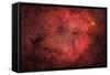 Ic 1396, the Elephant Trunk Nebula-null-Framed Stretched Canvas