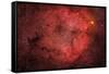 Ic 1396, the Elephant Trunk Nebula-null-Framed Stretched Canvas