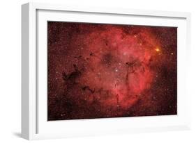 Ic 1396, the Elephant Trunk Nebula-null-Framed Photographic Print