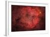 Ic 1396, the Elephant Trunk Nebula-null-Framed Photographic Print