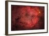 Ic 1396, the Elephant Trunk Nebula-null-Framed Photographic Print