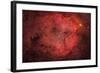 Ic 1396, the Elephant Trunk Nebula-null-Framed Photographic Print