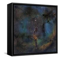 Ic 1396, the Elephant Trunk Nebula-null-Framed Stretched Canvas