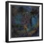 Ic 1396, the Elephant Trunk Nebula-null-Framed Premium Photographic Print