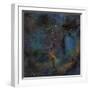 Ic 1396, the Elephant Trunk Nebula-null-Framed Premium Photographic Print