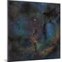 Ic 1396, the Elephant Trunk Nebula-null-Mounted Premium Photographic Print