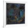 Ic 1396, the Elephant Trunk Nebula-null-Framed Photographic Print