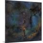 Ic 1396, the Elephant Trunk Nebula-null-Mounted Photographic Print