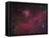 Ic 2177 Nebulosity-null-Framed Stretched Canvas
