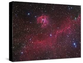 Ic 2177 Nebulosity-null-Stretched Canvas