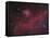 Ic 2177 Nebulosity-null-Framed Stretched Canvas