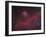 Ic 2177 Nebulosity-null-Framed Photographic Print