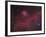 Ic 2177 Nebulosity-null-Framed Photographic Print