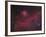 Ic 2177 Nebulosity-null-Framed Photographic Print