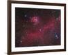 Ic 2177 Nebulosity-null-Framed Photographic Print