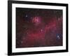 Ic 2177 Nebulosity-null-Framed Photographic Print