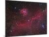 Ic 2177 Nebulosity-null-Mounted Photographic Print