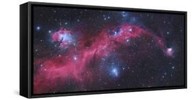Ic 2177, the Seagull Nebula-Stocktrek Images-Framed Stretched Canvas