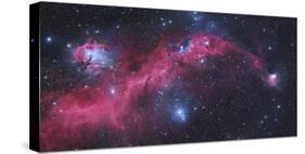 Ic 2177, the Seagull Nebula-Stocktrek Images-Stretched Canvas