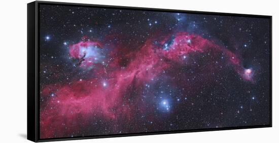 Ic 2177, the Seagull Nebula-Stocktrek Images-Framed Stretched Canvas