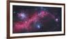 Ic 2177, the Seagull Nebula-Stocktrek Images-Framed Photographic Print