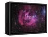 IC 2944 Running Chicken Nebula-Stocktrek Images-Framed Stretched Canvas