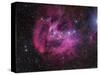 IC 2944 Running Chicken Nebula-Stocktrek Images-Stretched Canvas