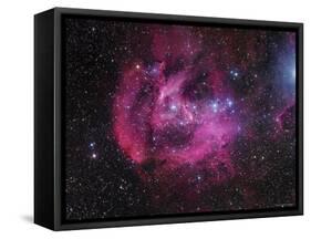 IC 2944 Running Chicken Nebula-Stocktrek Images-Framed Stretched Canvas