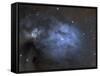 Ic 4603 Is a Blue Reflection Nebula in Ophiuchius-null-Framed Stretched Canvas