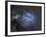 Ic 4603 Is a Blue Reflection Nebula in Ophiuchius-null-Framed Photographic Print