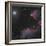 Ic 59 and IC 63 in Cassiopeia-null-Framed Photographic Print