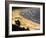 Icapui Beach, with People Fishing and Playing at Sunset-Alex Saberi-Framed Photographic Print