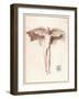 Icarus with a Quite Inadequate Pair of Wings-Peiresc-Framed Art Print